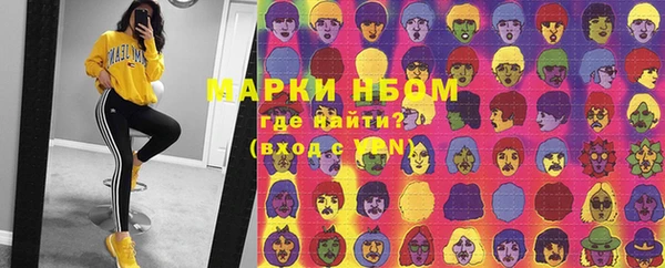трава Белокуриха