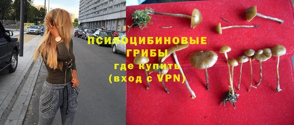 амфетамин Богданович