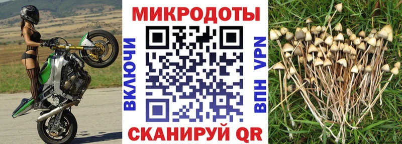 купить   блэк спрут маркетплейс  Псилоцибиновые грибы ЛСД  Яранск 